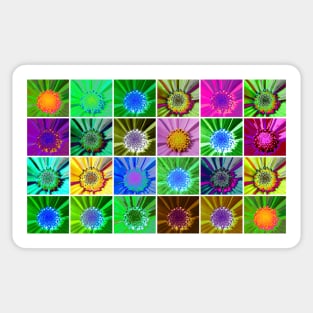 Cosmos Flower Collage Sticker